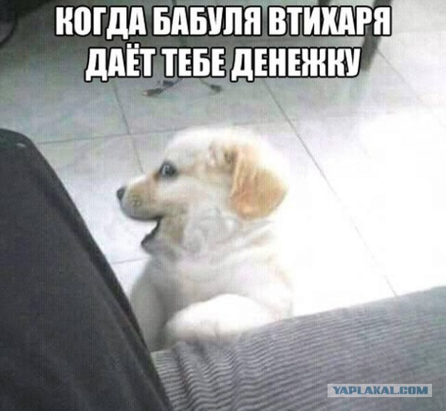 Прикольные картинки из интернета