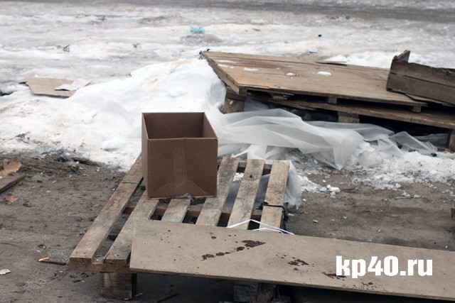 Торговцы с калужского рынка попросили защиты у Рамзана Кадырова