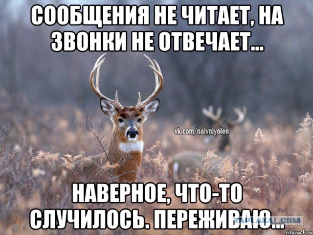 Жена изменяет? Или нет?