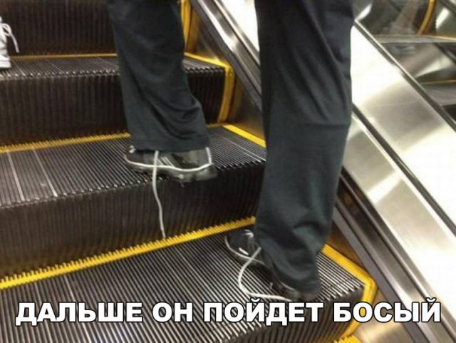 Подборка безудержного веселья
