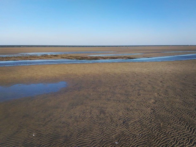 Из-за сильного ветра в Таганрогском заливе сильно упал уровень воды