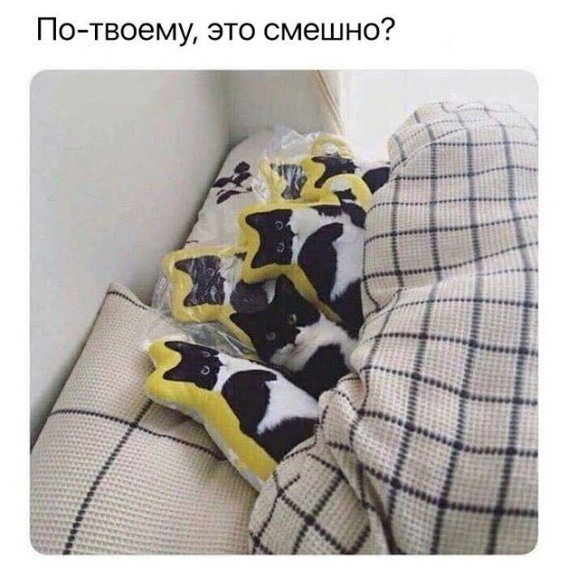 Кот без прикрас