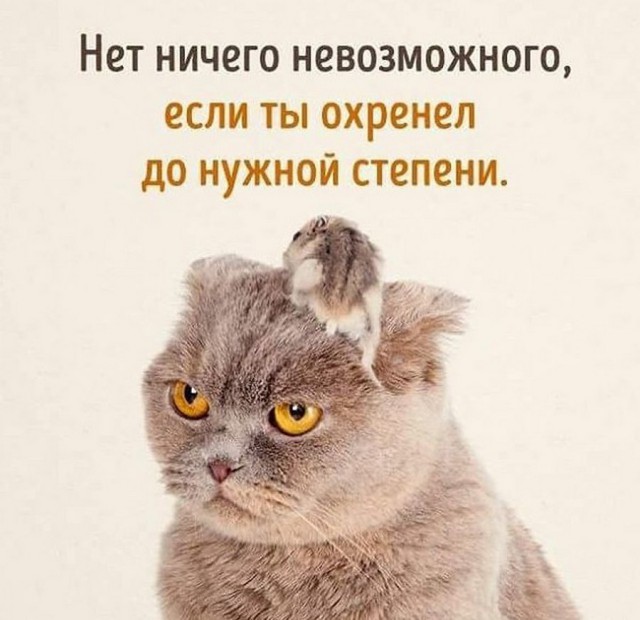 Тот самый случай, когда наглость — второе счастье