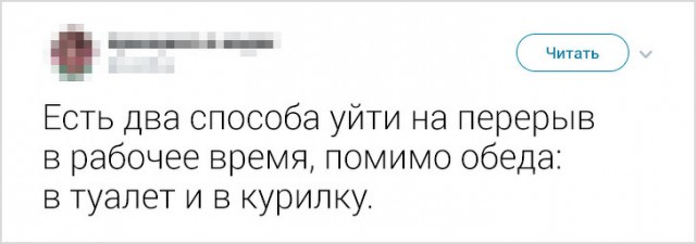 Девушка рассказала о работе в Японии. Спорим, вы бы не хотели оказаться в таком офисе