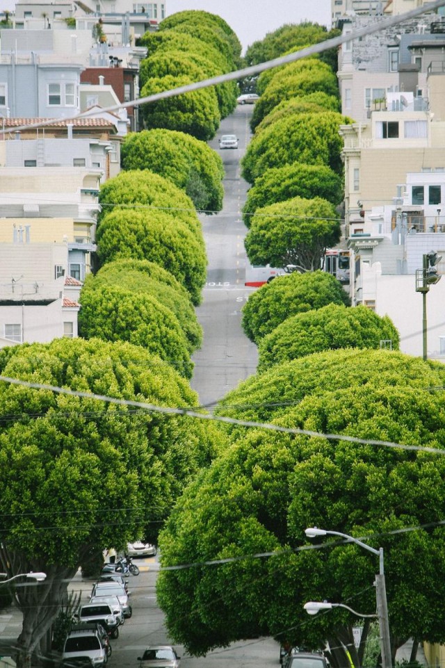 Подборка интересных и веселых картинок 01.04.19