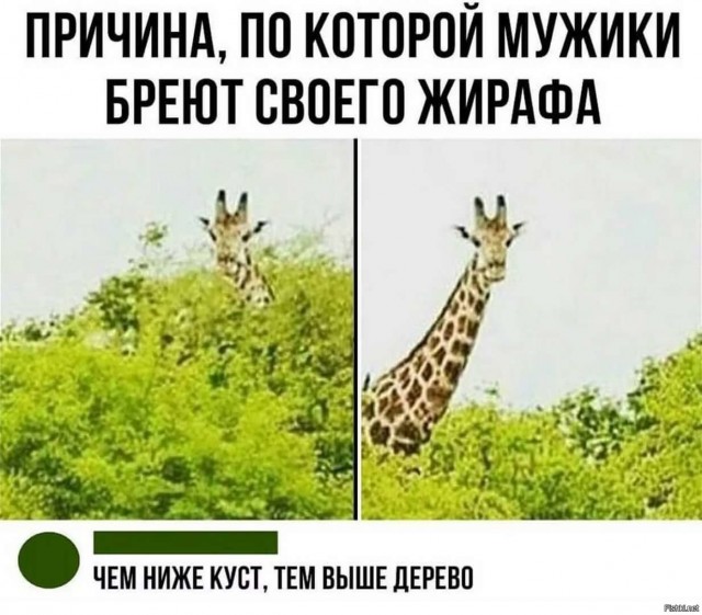 Почему с возрастом размер мужского достоинства уменьшается?