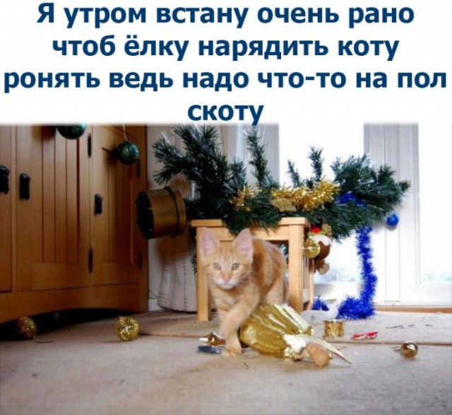 Немного картинок для настроения. Новогодний выпуск