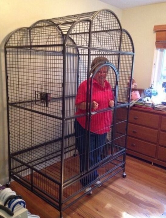 Кучка картинок №0