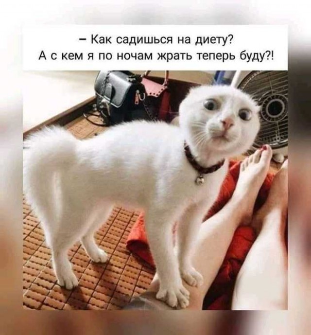 Бредзона 05.06.2020