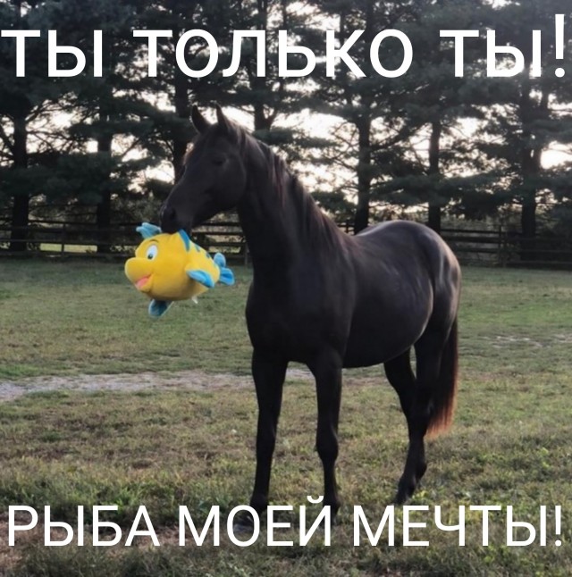 Всякая всячина
