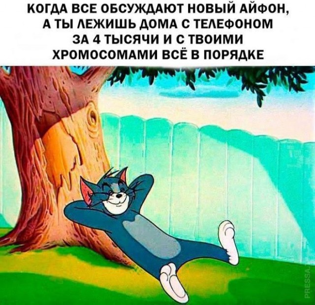 Немного картинок для настроения 12.11.20