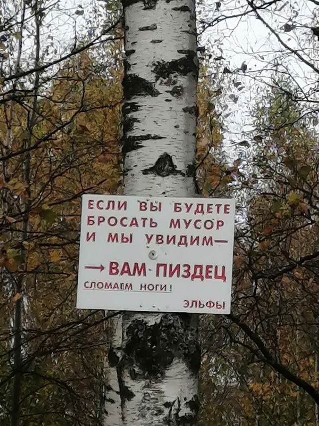 Прикольные картинки 02.12.20