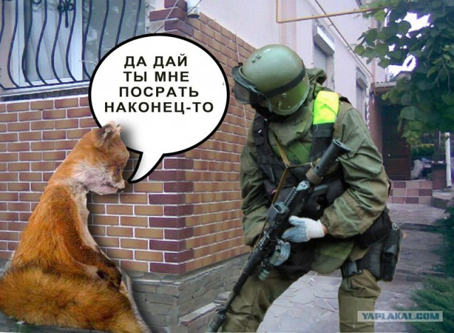 Спецназовская фотожаба