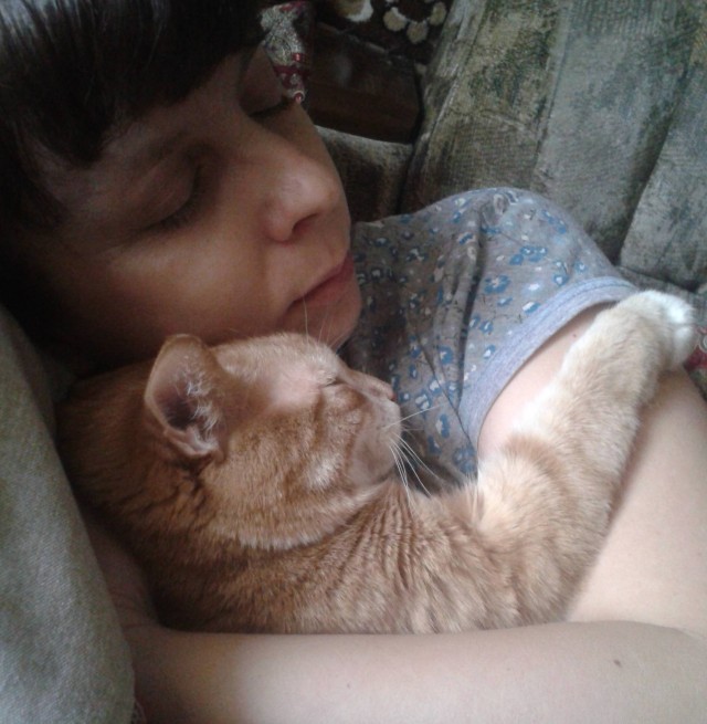 В постели с котом