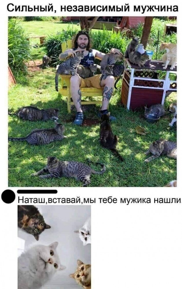 Винегрет из картинок боянистых и не очень для настроения или просто скоротать время