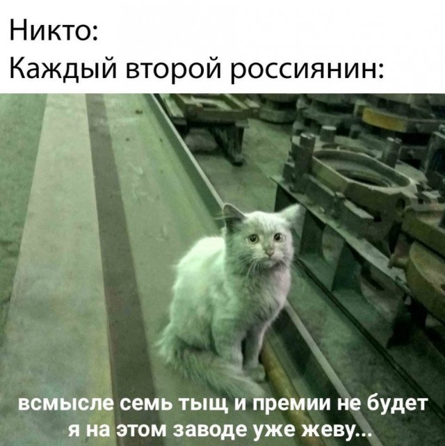 Кретинизмы из сети 19.08.2021