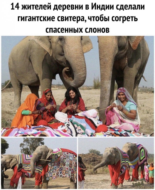 Картинки и мемы, начало праздников