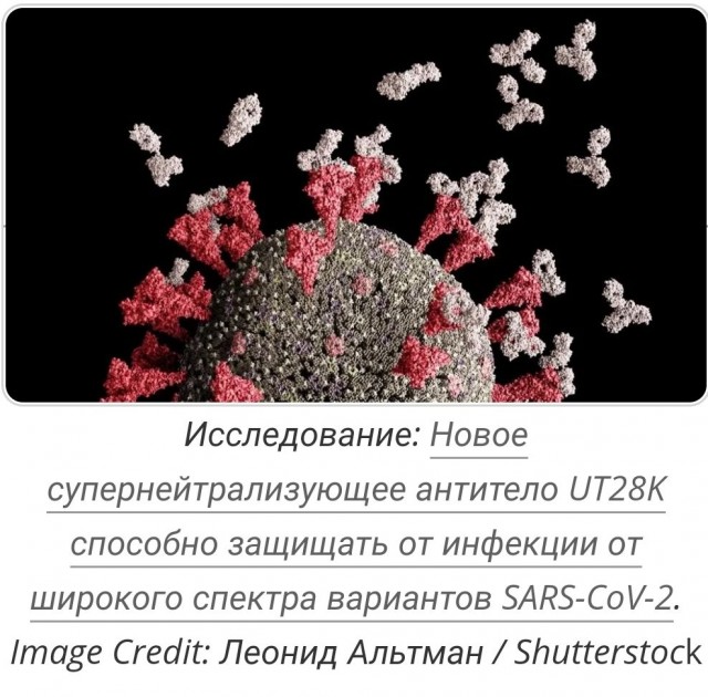 Пандемия. Коронавирус и съехавшие крыши. Россия и мир. Часть 34.