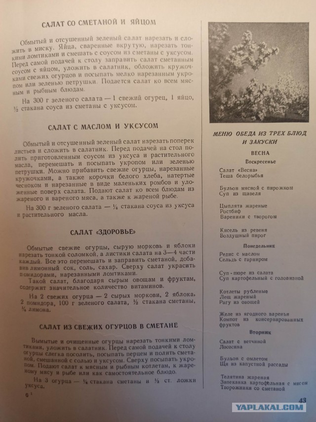 Здоровая и вкусная еда СССР 1954 год