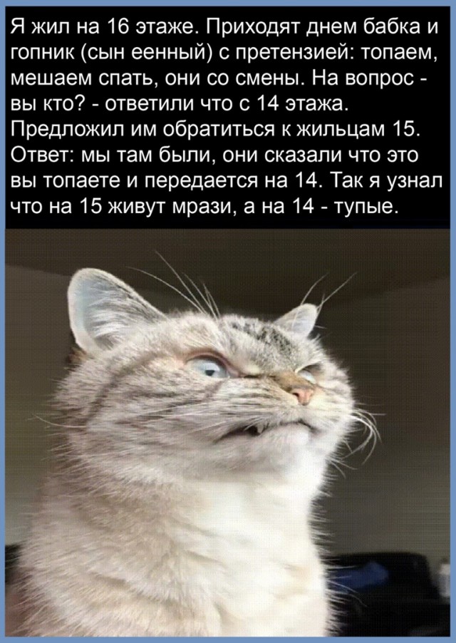 Так себе картинки 02.06.22