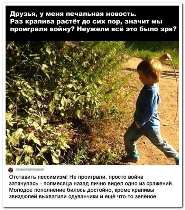 Забавные комментарии из социальных сетей (11.07.22)