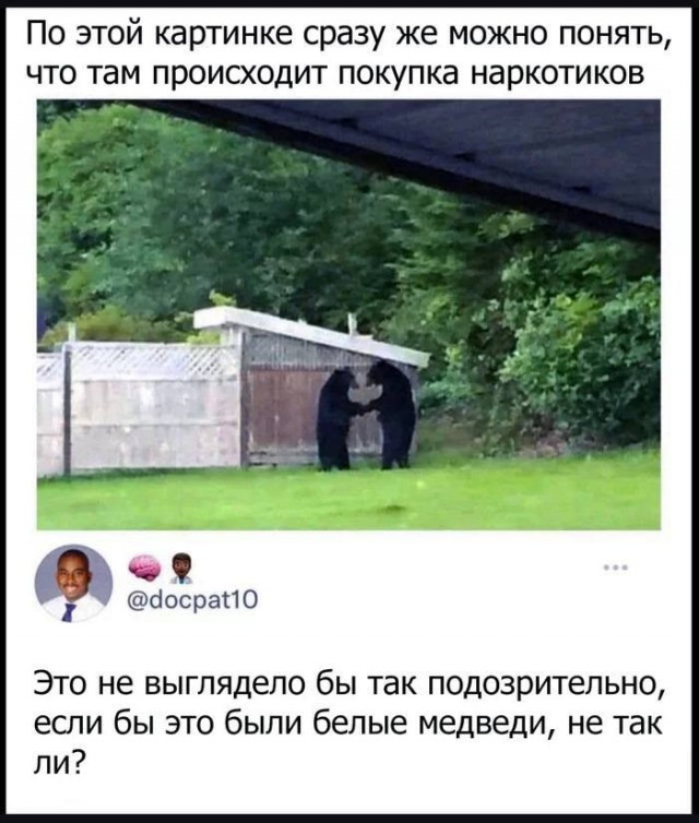 50 оттенков серого если самосвал баянов. Vol.21