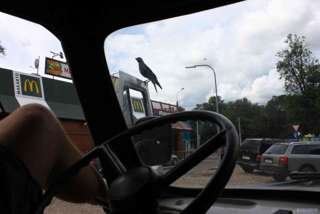 Экспедиция Тамбов-Карелия (бесов нос).