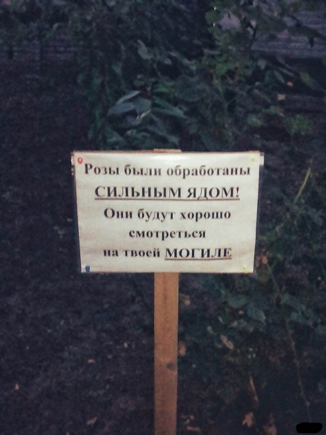 Чёрно-пошлый вторник