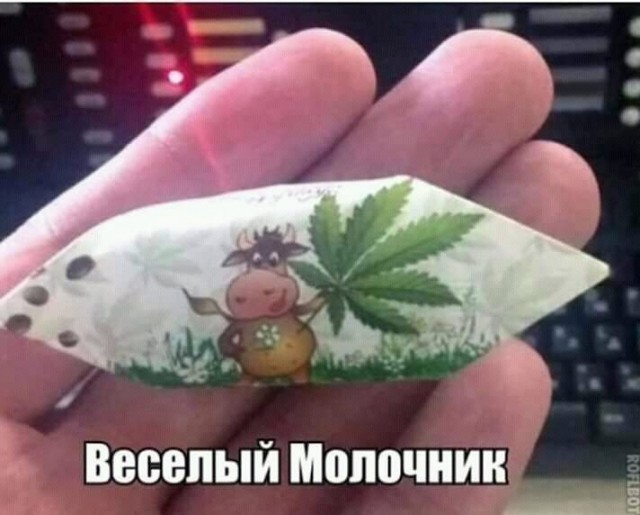 Прикольные и просто красивые картинки 25.11.2022