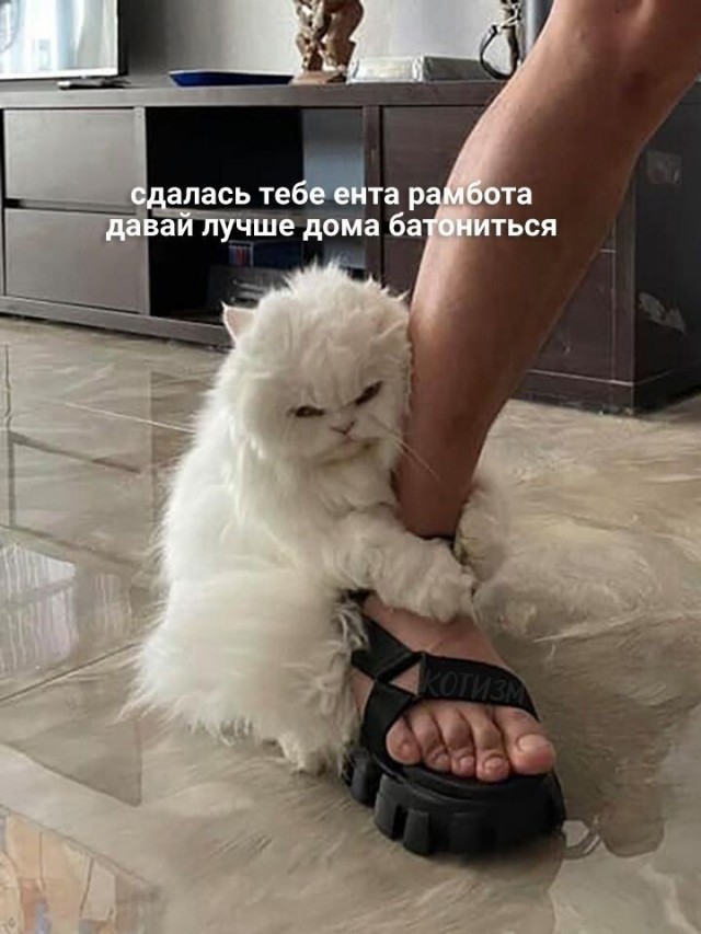 Юмор в картинках и без 27.11.2022