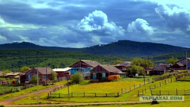 Только самолетом можно долететь - Кактолга