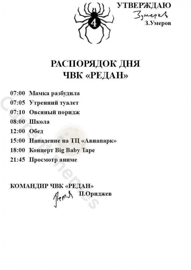 В Москве задержали девятерых подростков из «ЧВК Редан»