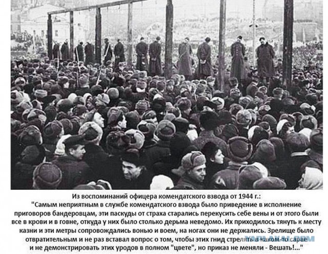 Зеленский переживает, что из-за конфликта в Израиле Запад забудет про Украину: