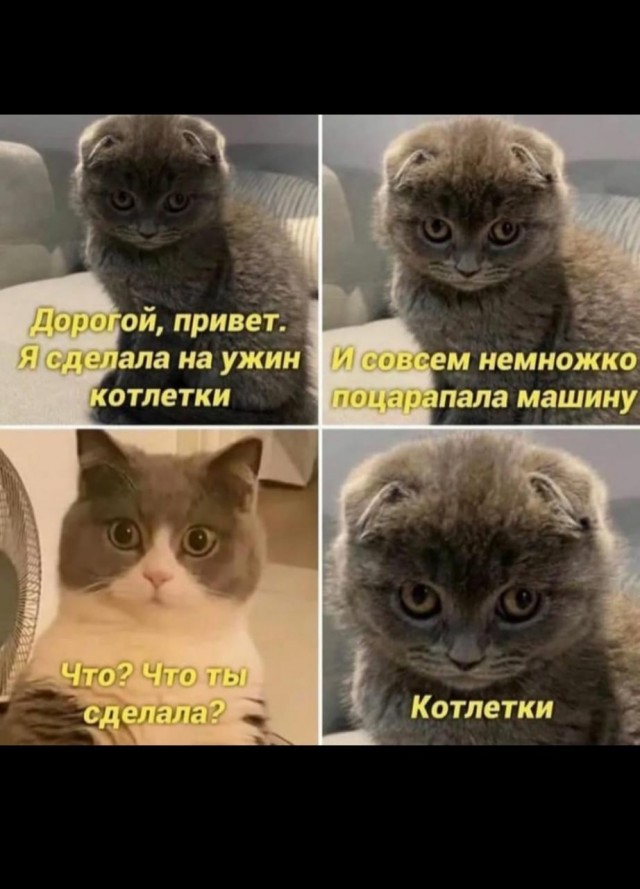О незнакомой девушке, ее пежо и и царапине на УАЗ