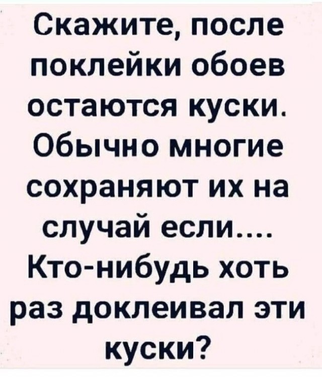 Весёлый полтишок 01.11.23