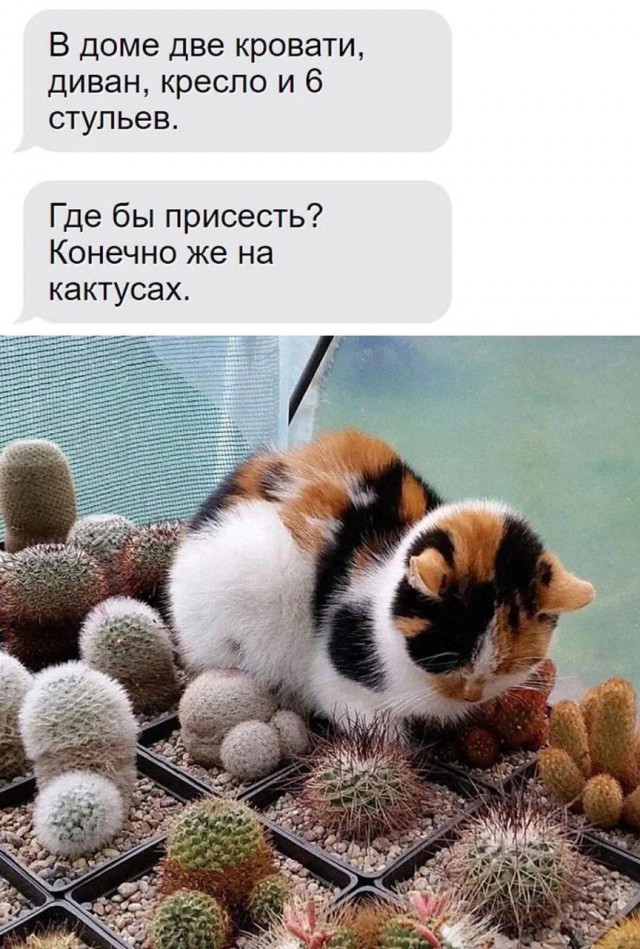 Всего понемногу. От 22.07.24