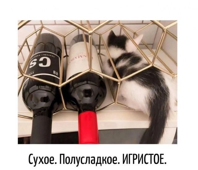 Прикольные и просто красивые картинки 12.11.2024