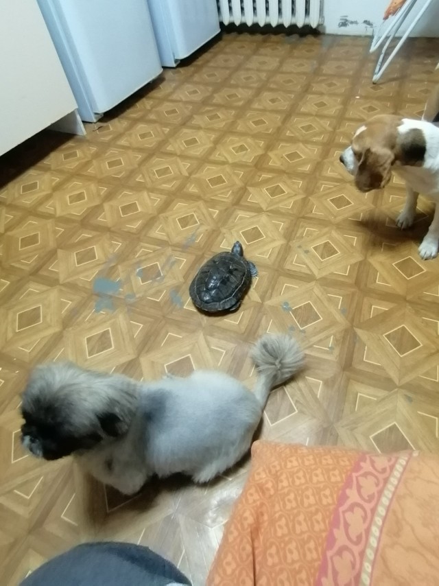 Просто фото