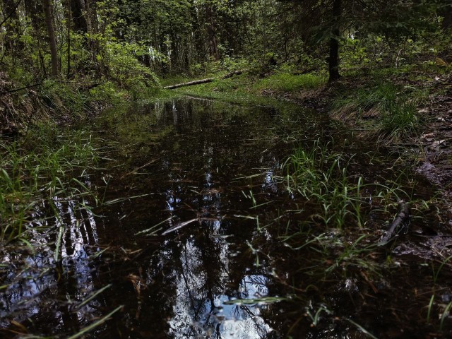 Литболталка