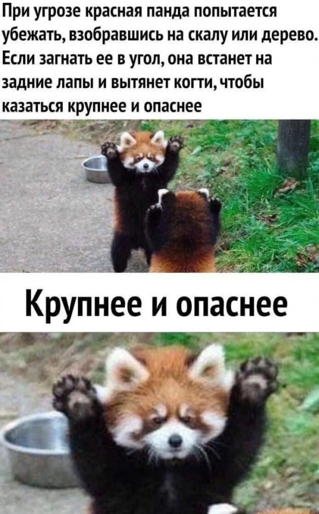 Завалялось тут случайно немного забавных картинок