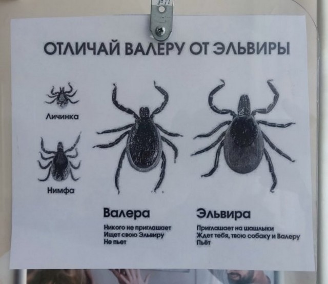 Маленькая пятница 4.06.25