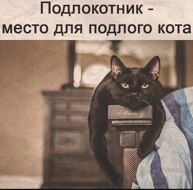 Так себе картинки 17.06.25