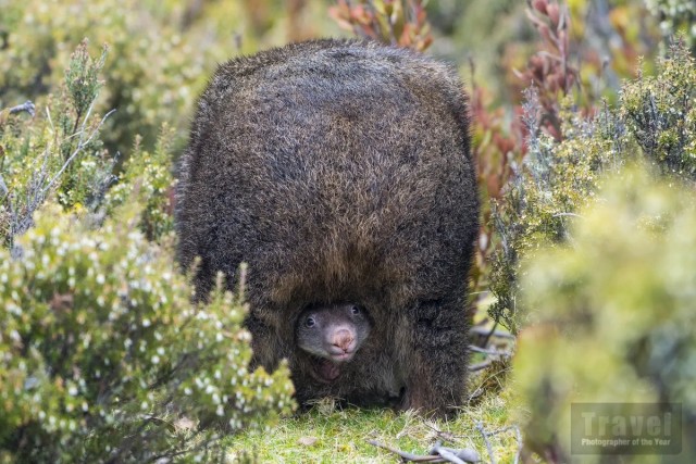 Заряд позитива: взгляните на 25 самых забавных снимков