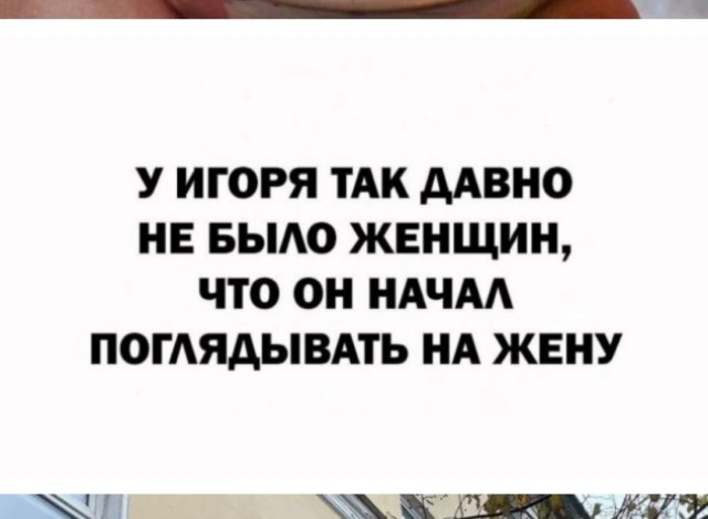 Веселое настроение в картинках (16.07.2025)