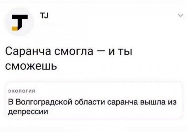 Субботние мысли