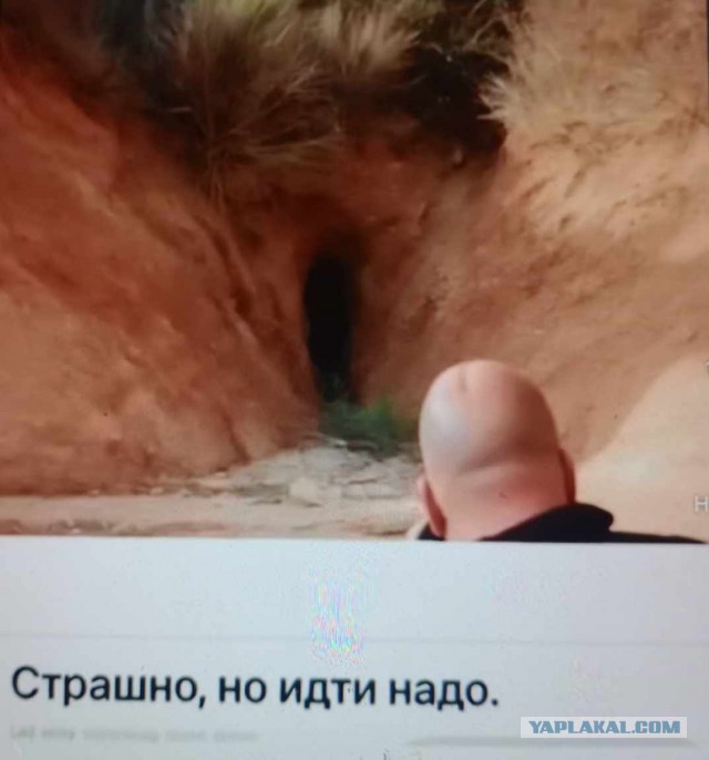 Так себе картинки 29.11.25
