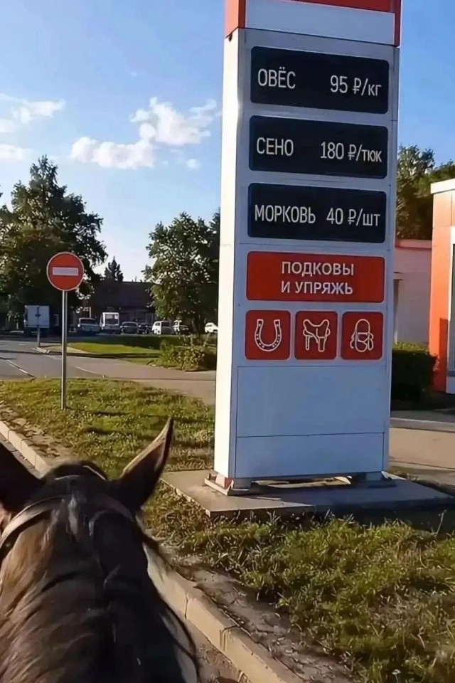 Бензин по расписанию: в Иркутской области хотят ввести электронные очереди на заправках