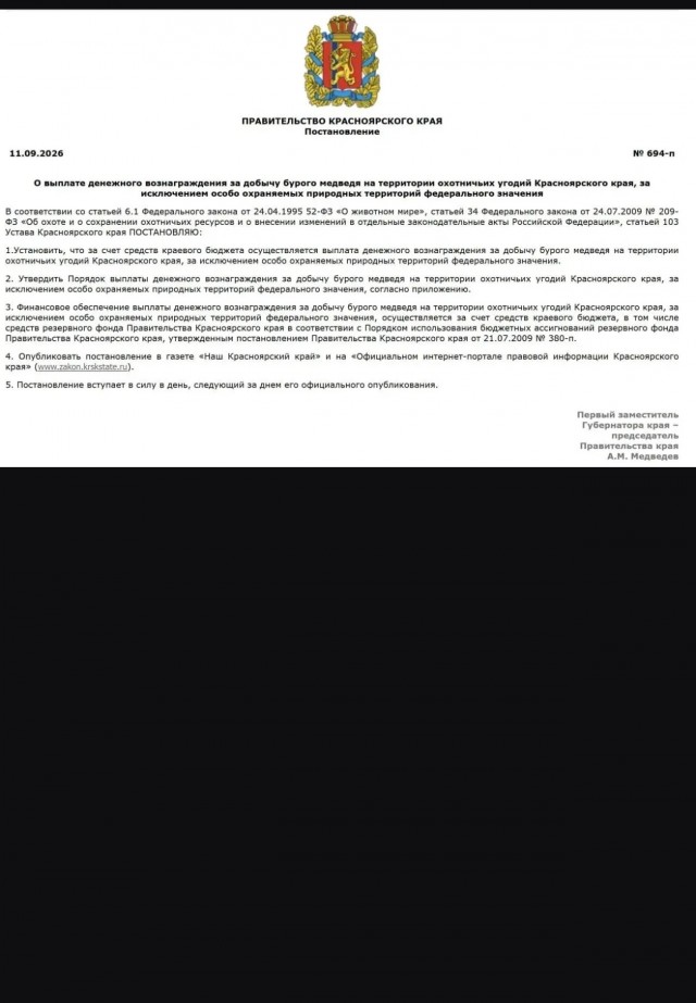 Рекордное нашествие медведей-людоедов зафиксировано в России