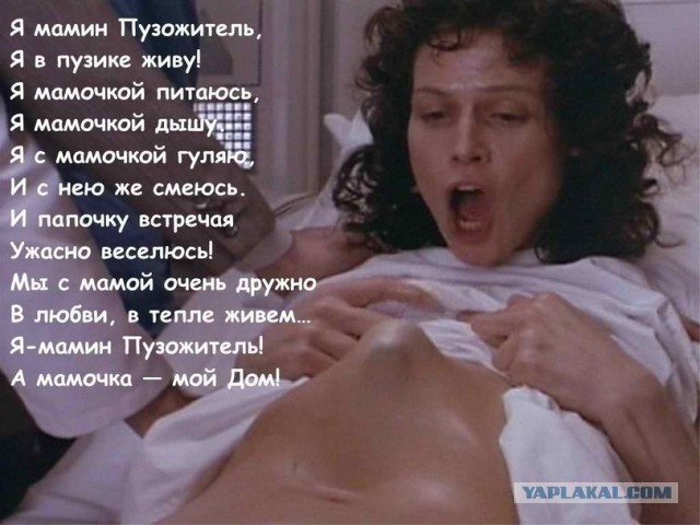 Теплый зимний лицехват