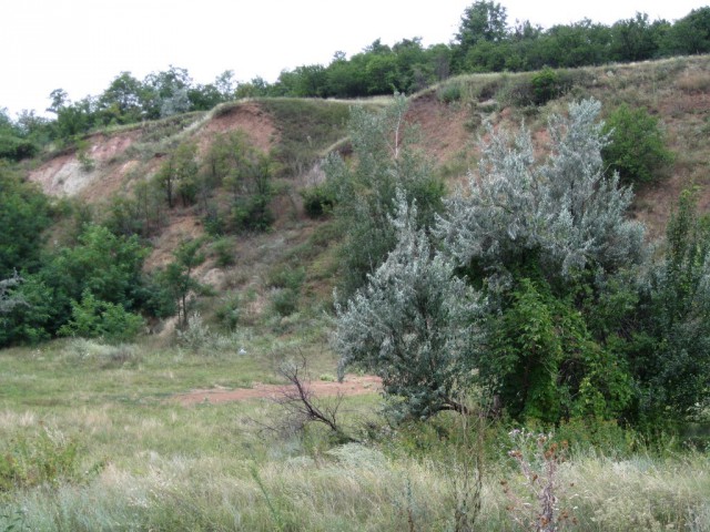 Барвенково, Харьковская область